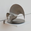 Roland Phleps: Proteus 2