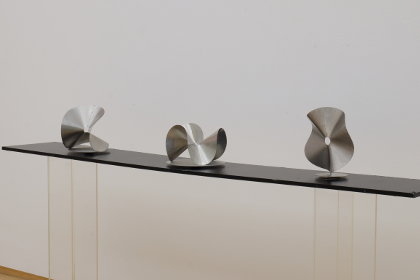 Roland Phleps: Wellenkreise
