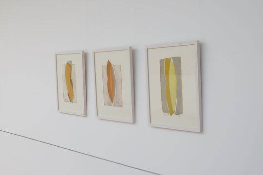 René Dantes: Forma