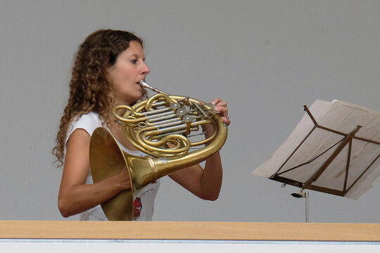 D. Gauthier-Guiche, Horn