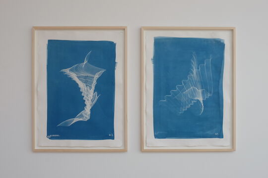 Fabian Gatermann: Luxlumina