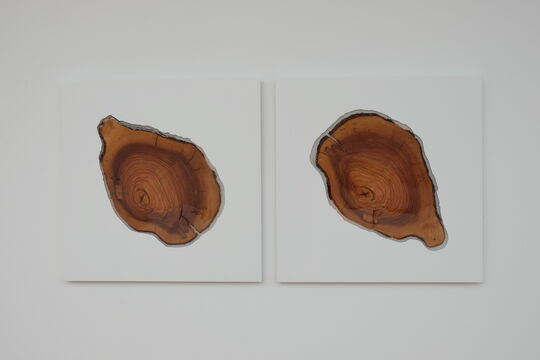 Fabian Gatermann: Traces of Intarsia