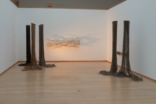 Susanne Allgaier: Verstrickungen, Wellenlinien