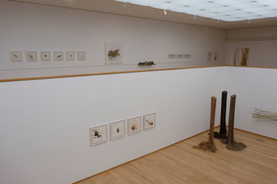 Susanne Allgaier: Blick in die Ausstellungshalle mit Werken von Susanne Allgaier