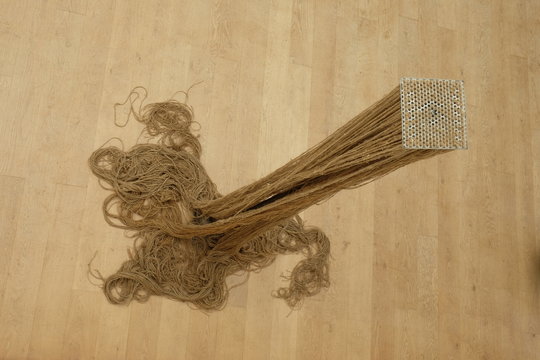 Susanne Allgaier: Verstrickungen