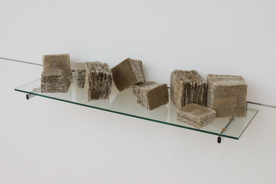 Susanne Allgaier: Wege
