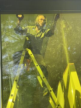 Aufbauen der Installation "augenblicksweise - Der Raum als Gesamtkunstwerk" von Bernhard C. Striebel