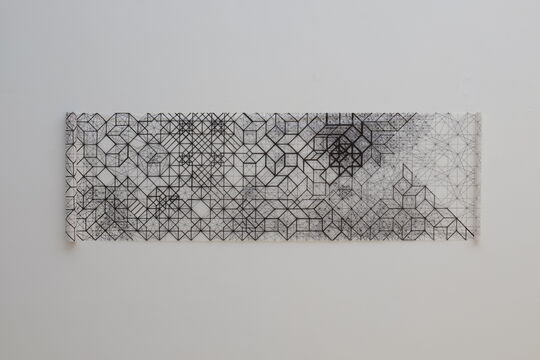 Ildikó Csapó: Construct H.C.