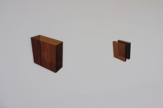 Robert Steng: "Translucent Piece of Wood" und "Two Translucent Boards"